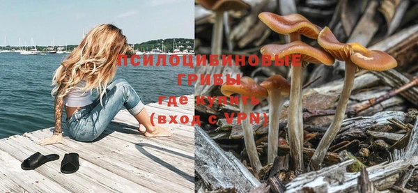 СК Бородино
